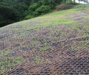 Erosion Control Mat 3d Geomat untuk Perlindungan Lereng