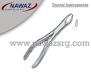 Forceps d'extraction dentaire Fig.150 Manuel Qualité supérieure Certifié CE Logo personnalisé Instruments dentaires en acier inoxydable - Product Image 2