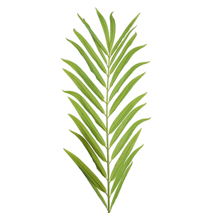 Thân Thiện Với Môi 1.9M Trong Nhà Trang Trí Nhân Tạo King <span class=keywords><strong>Palm</strong></span> Tree - Product Image 5