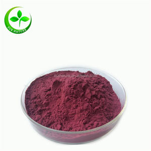 Высококачественный экстракт черники, порошок экстракта черники, антоцианины - Product Image 1