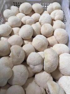 Detan उत्कृष्ट गुणवत्ता खाद्य सूखे अयाल लायंस मशरूम - Product Image 6