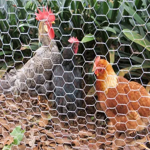 Filets pour fil de poulet de 12 m, 0.7mm, 1 pouce, 1-1/2 pouce, hexagonal