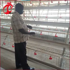 9 cages à poulet de haute qualité, couches d'élevage pour élevage de volaille kenda