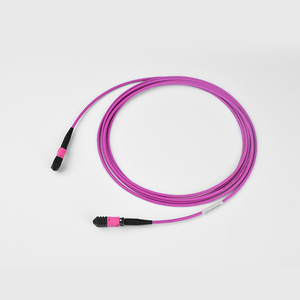 Catv sợi cáp quang với MTP MPO <span class=keywords><strong>Patchcord</strong></span> 12-core <span class=keywords><strong>OM3</strong></span> OM4 om5 SM cho các trung tâm dữ liệu - Product Image 2