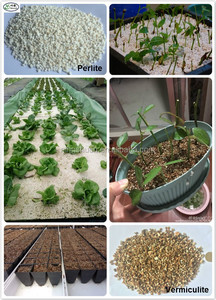 Medio de Cultivo de <span class=keywords><strong>Perlita</strong></span> Expandida <span class=keywords><strong>y</strong></span> <span class=keywords><strong>Vermiculita</strong></span> para Viveros de Orquídeas - Product Image 3