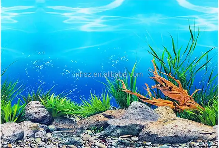 Green background Aquarium Ocean landscape Poster