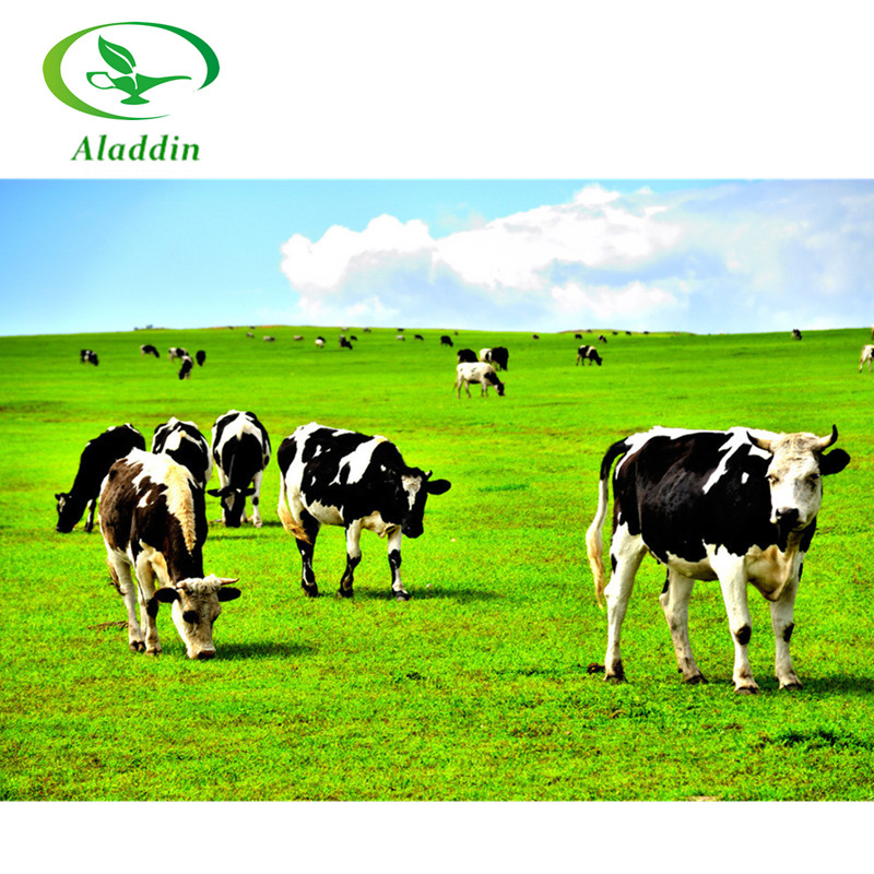 Лучшее качество, халяльный сывороточный протеин в порошке, 25 кг, Лучшая цена