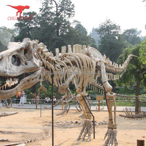 High Simulation Artificial Custom <strong>Dinosaur</strong> <strong>Model</strong> fossil <strong>T</strong>-<strong>rex</strong> <strong>Skeleton</strong>