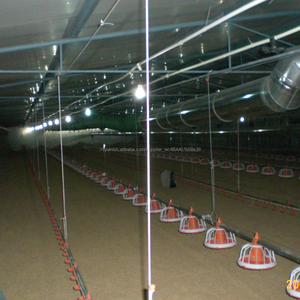 Moderno equipo agrícola en China nombre <span class=keywords><strong>de</strong></span> granjas <span class=keywords><strong>de</strong></span> aves <span class=keywords><strong>de</strong></span> corral para pollos <span class=keywords><strong>de</strong></span> <span class=keywords><strong>engorde</strong></span> - Product Image 4