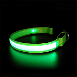 Nuevo Collar para perro, LED intermitente, superbrillante - Product Image 4