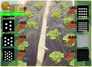 <span class=keywords><strong>Agricole</strong></span> PE plastique <span class=keywords><strong>noir</strong></span> perforé paillis <span class=keywords><strong>film</strong></span> avec des trous pour fraise - Product Image 1