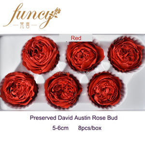 Rosas David Austin Naturales <span class=keywords><strong>Preservadas</strong></span>, Tamaño del Diámetro de 5 a 6 cm - Product Image 3