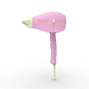 Nano Titanium Hair dryer for Hairdressing