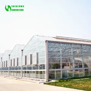 Multispan güneş panelleri yeşil ev tarımsal seralar hidroponik yetiştirme sistemleri ile tarım için