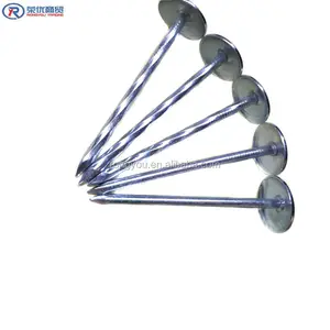 Verzinkte Spule Aluminium Regenschirm Kopf Dach und Rahmen Nägel