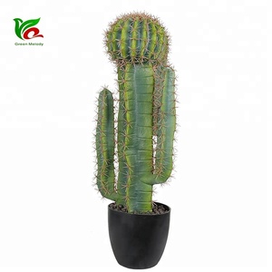 Artículo para el hogar de moda, 73cm, arte de <span class=keywords><strong>Cactus</strong></span> artesanal, pieza Ornamental de <span class=keywords><strong>Cactus</strong></span> raro - Product Image 2