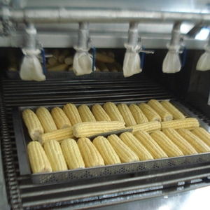 Chinese Vacuum Packing Sweet Corn Cob