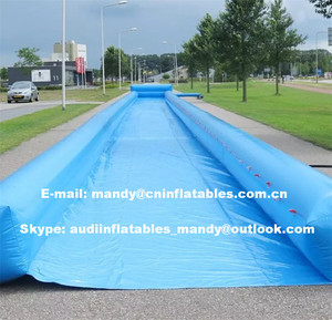 <span class=keywords><strong>Giant</strong></span> inflatable trượt và trượt tùy chỉnh - Product Image 4