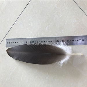 판매를 위한 다른 크기를 가진 대중적인 독수리 깃털 - Product Image 4