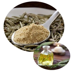 Ekstrak bubuk Rosemary, asam pengawet cerdas alami - Product Image 1