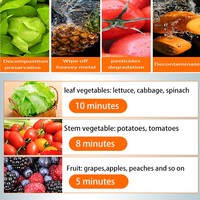 Vortex Bellen Fruit/Groente Wasmachine Voor Restaurant