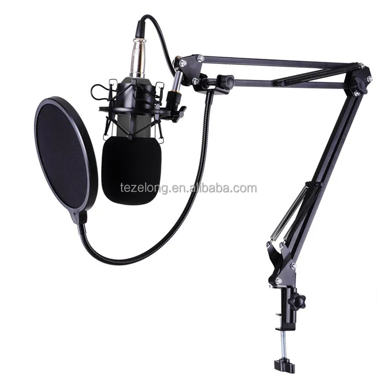 Fit for Interview and singing BM800+ Condenser Microphone Professional Audio Studio Recording Microphone Metal Tripod