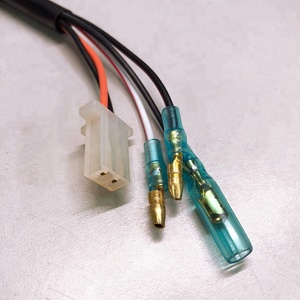 OEM de CDI para Dinli ATV 50 ~ 110cc (OEM No A190001) - Product Image 3