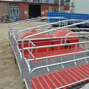 Caisses de mise bas pour l'élevage porcin en Chine - Product Image 6