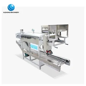 high efficient rice vermicelli corn cereal noodle making machine/glass noodle machine for business automatic noodle making machi