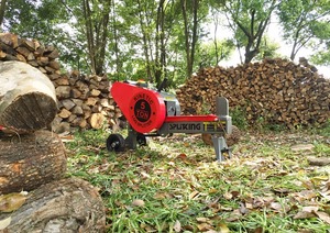 Fendeuse de bûches cinétique électrique OEM disponible 5 tonnes avec nouveau moteur en cuivre 100V-230V 1600W - Product Image 2