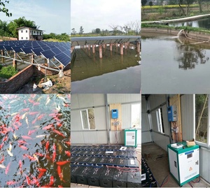 30Kw hoàn thành năng lượng mặt trời tắt hệ thống điện lưới cho nhà và sử dụng nhà - Product Image 2