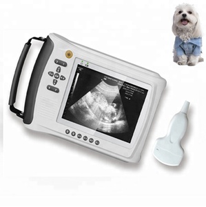 Peralatan Pemindai <span class=keywords><strong>Ultrasound</strong></span> Dokter Hewan, dengan <span class=keywords><strong>Probe</strong></span> Dubur untuk Alat Penguji Pemindai Kehamilan Sapi/Hewan Besar