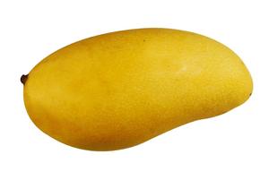 Máquina Cortadora de Tiras de <span class=keywords><strong>Mango</strong></span> - Product Image 6