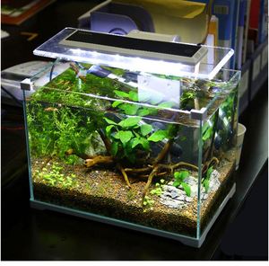 SUNSUN groothandel <span class=keywords><strong>aquarium</strong></span> fish exporteur in kerala <span class=keywords><strong>ATK</strong></span>-<span class=keywords><strong>250</strong></span> - Product Image 2