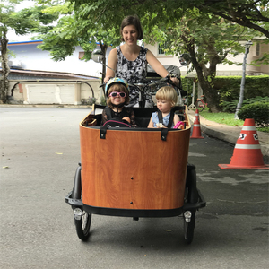 Dinamarca popular <span class=keywords><strong>bicicleta</strong></span> eléctrica niños <span class=keywords><strong>remolque</strong></span> <span class=keywords><strong>de</strong></span> carga con tres ruedas - Product Image 1