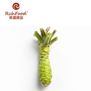 Chinesische Pflanze Frischer echter <span class=keywords><strong>Wasabi</strong></span> für Sushi-Produkte