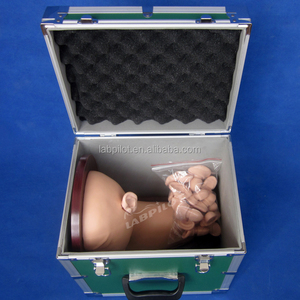 Offre Spéciale Oreille D'inspection Simulateur oreille Diagnostic Modèle de Formation - Product Image 4