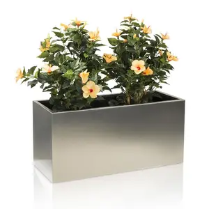 Extérieur En Métal Rectangulaire En Acier Inoxydable Pot De Fleurs/Jardinière