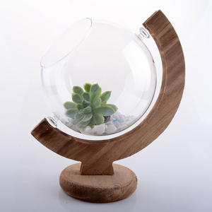 <span class=keywords><strong>Vase</strong></span> Globe en verre transparent moderne <span class=keywords><strong>avec</strong></span> support en <span class=keywords><strong>bois</strong></span> rustique Terrarium pour la décoration de la maison et de la salle à manger pour les hôtels - Product Image 3