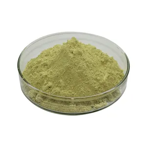 Organic High Pure Natural Ashitaba Leaf Powder