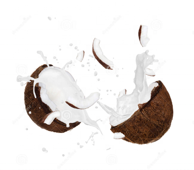 Coconut Water Processing Machine/coconut Juice Machine/coconut Milk Press