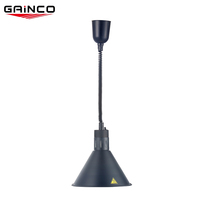 Lampes chauffantes suspendues télescopiques de cuisine commerciale/buffet lampe chauffante suspendue pour réchauffer les aliments