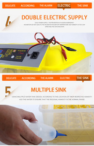 Mini incubateur numérique pour œufs de poulet 12v, couveuse automatique 48 automatique, meilleur prix en promotion - Product Image 2