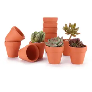 terracotta clay pots Pack of 12 - Small Craft Nursery Cactus Pot Water Permeable Succulent Plant Pottery Planter DIY Home Office