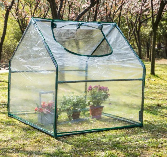 Jardín de tierra de efecto invernadero con una ventana