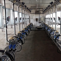 Salle de traite des vaches de type chevrons