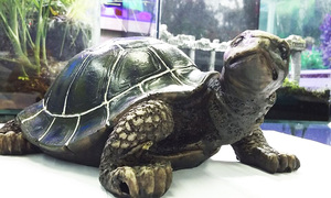 Aquarium/<span class=keywords><strong>Terrarium</strong></span> Dekor für Aquarium Harz Ornament Krokodil Schädel Knochen - Product Image 4
