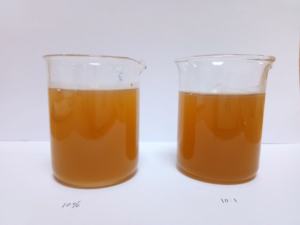 Wateroplosbaar 4:1 Braziliaanse Ginseng <span class=keywords><strong>Suma</strong></span> Wortel <span class=keywords><strong>Extract</strong></span> Poeder - Product Image 3