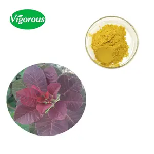 Longevity Extending Lifespan Pure Organic 98% Fisetin Rhus succedanea Extract Powder Bulk