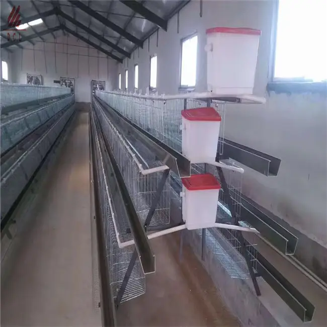 Cage de poulet en aluminium, 100 couches